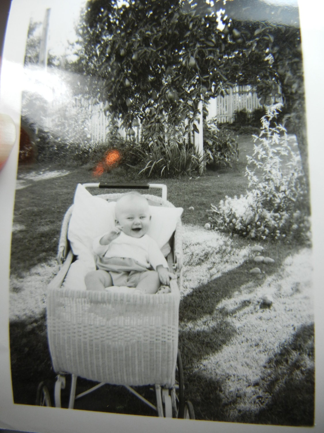 Vintage Photos, Patterson collection, Kodak Velox paper, set of 7, circa 1960 and earlier, black and white Photos, Vacation SALE
