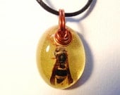 Yellow Jacket Bee Resin Nature Pendant Small Oval Necklace Bohemian Jewelry Amber Wire Black Cord Earth Forest Wings Insect Bug