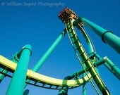 Raptor at Cedar Point 11x14 Print