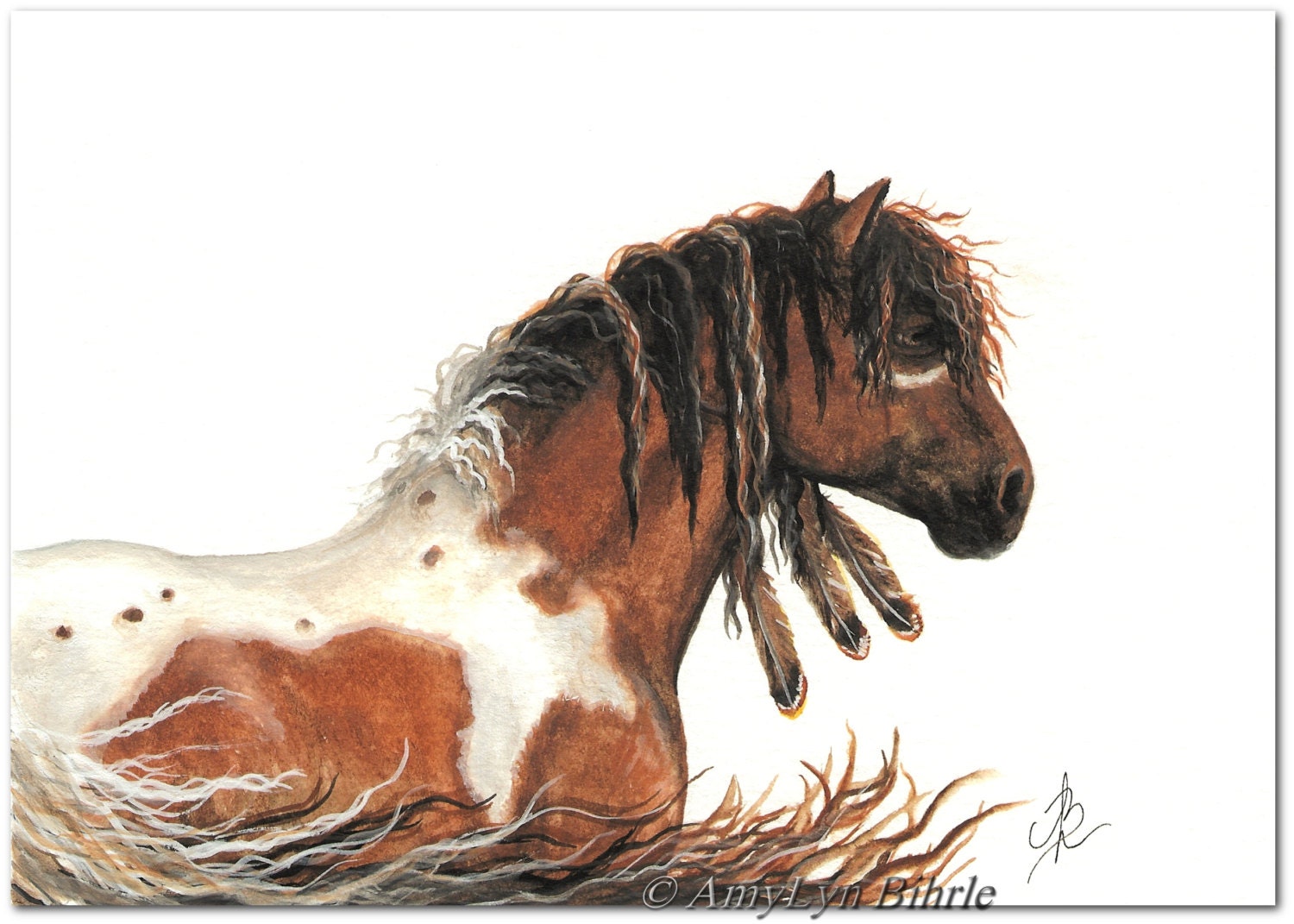 Buckskin Pinto Bashkir Curly Horse Native American Spirit Feathers 63-  8.5 x 11 Print by AmyLyn Bihrle