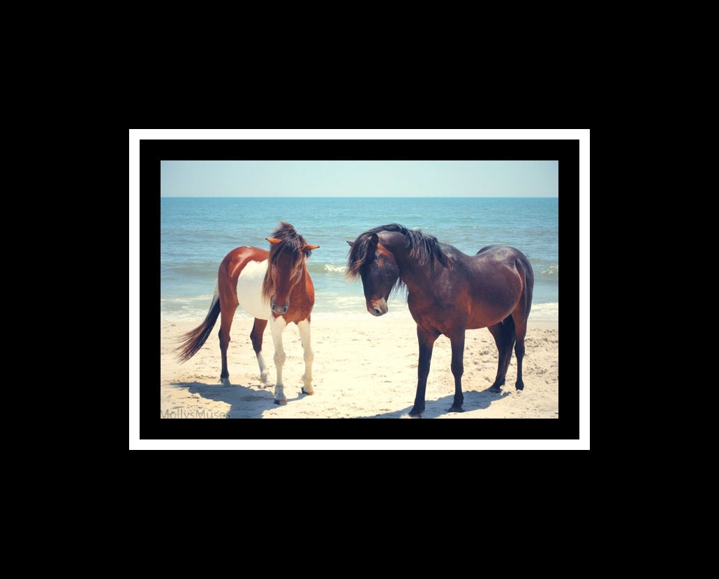 Horse Art,  Beach Photograph,  Assateague Ponies blue ocean seascape, beach house decor, nautical, tribal