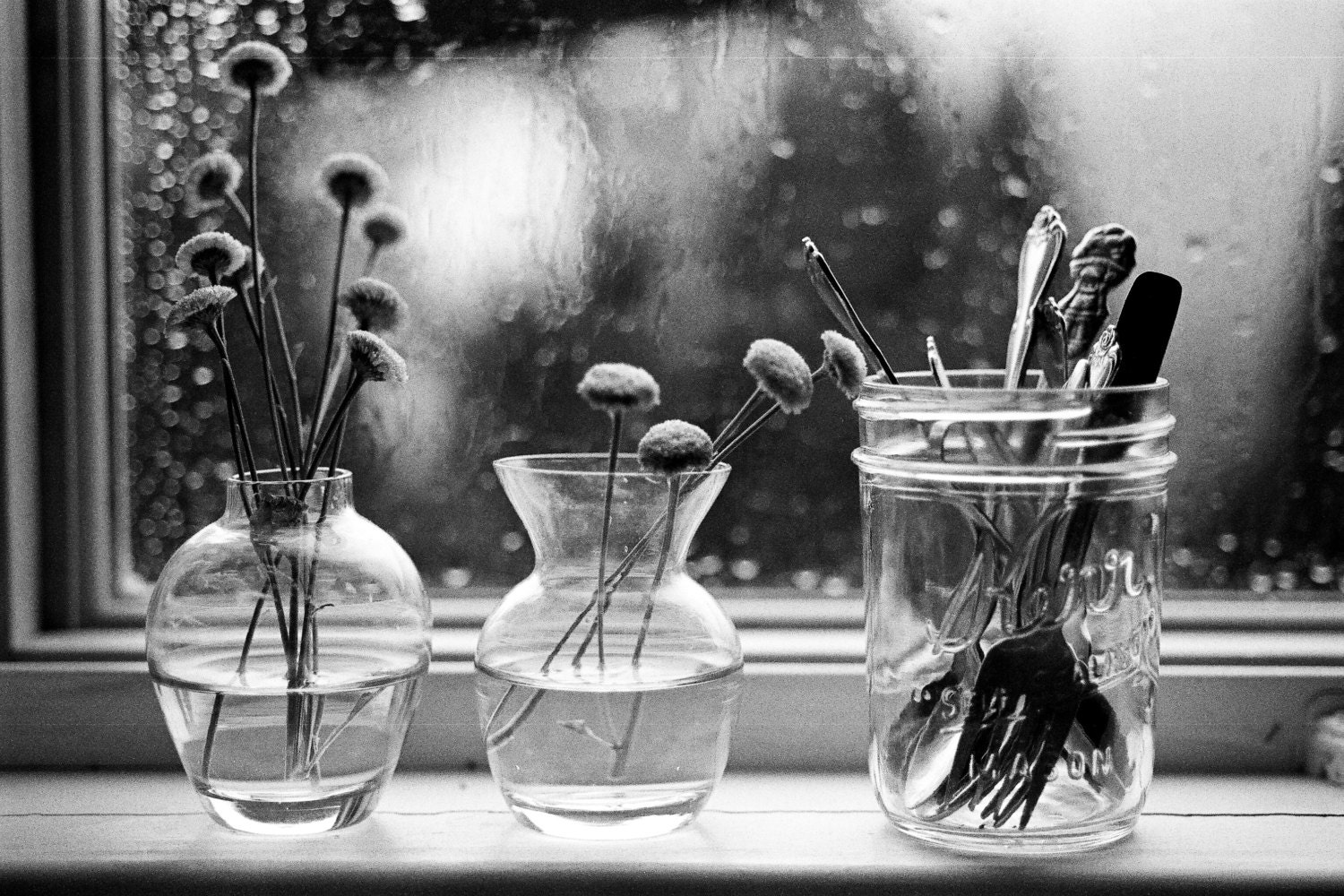 Vases and Forks - Fine Art Photo on 6x9 Bamboo Panel