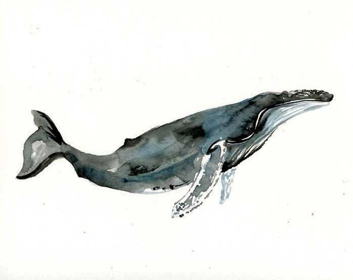 HUMPBACK WHALE Original watercolor painting 10X8inch