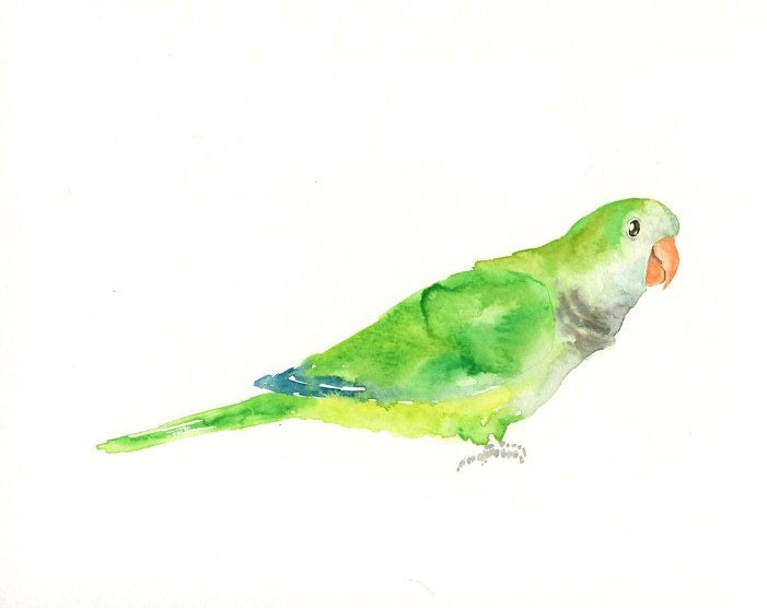 QUAKER  Original watercolor painting 10X8inch