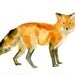 FOX  Original watercolor painting 10X8inch