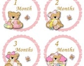 Onesie Baby Bear Girl Stickers 1 Month through 12 Months B23