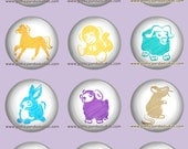 Chinese Zodiac Pin-back Buttons