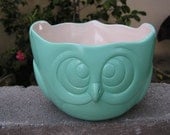 Simply Cool Owl Party Dish Mint Green