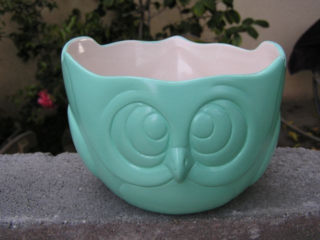 Simply Cool Owl Party Dish Mint Green