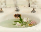 Fragrance