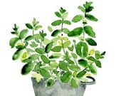 Mint plant in a tin planter, original watercolor painting, herb, kitchen decor, mothers day, wall decor,  Cottage chic, mint, grey