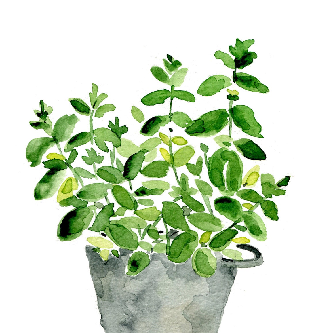 Mint plant in a tin planter, original watercolor painting, herb, kitchen decor, mothers day, wall decor,  Cottage chic, mint, grey