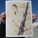 The Search giclee print