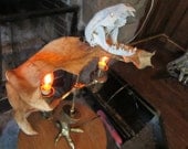 Vampire Lamp