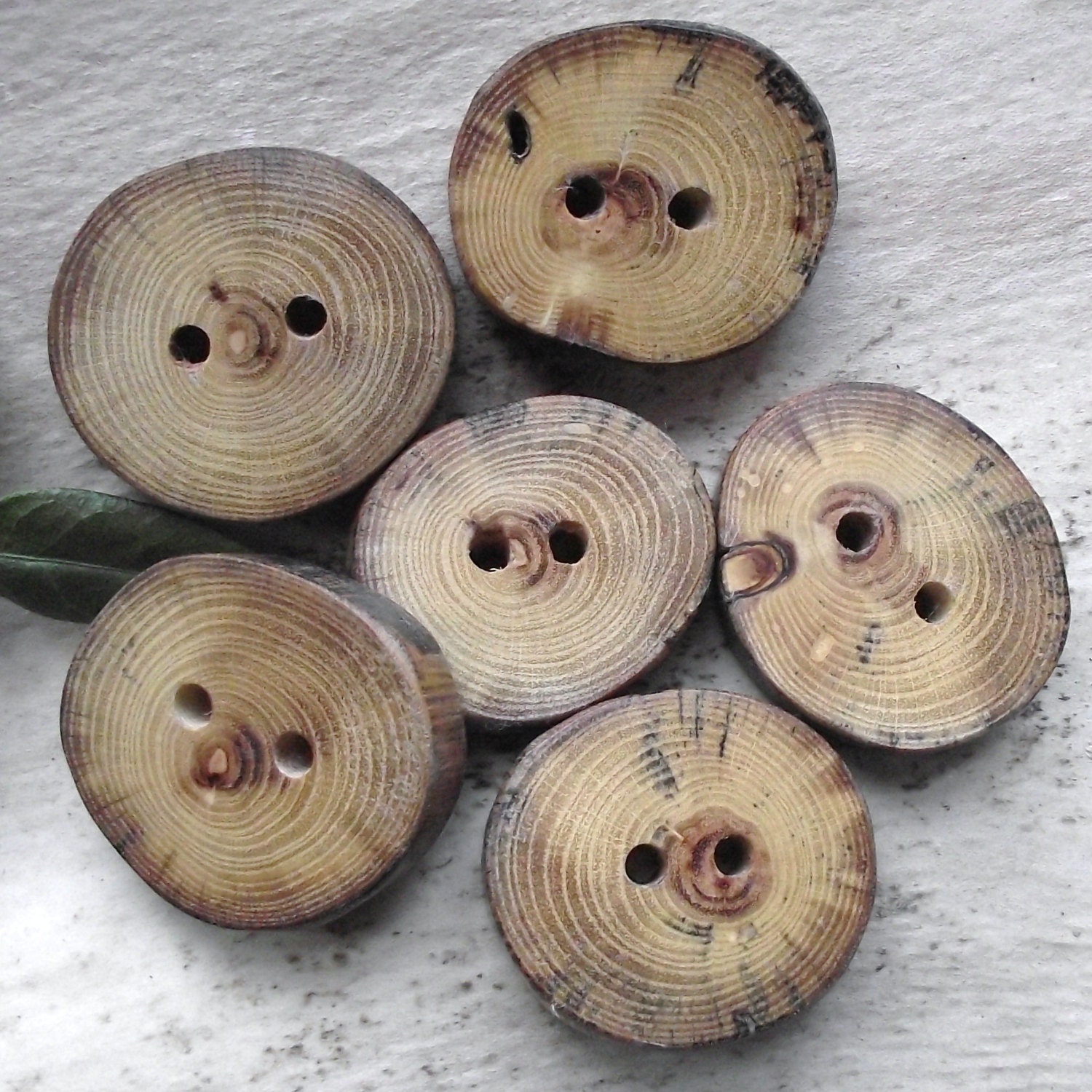 6 Chunky Multi-Colored Wood Tree Branch Buttons - Wooden Buttons - 1 1/2 x 1 3/8 inches, Great for Journals, Pillows, Purses, Knitting