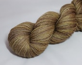 Monet Study 17 - Handpainted Superwash Falkland British Merino and Bamboo Sock Yarn 435 yds