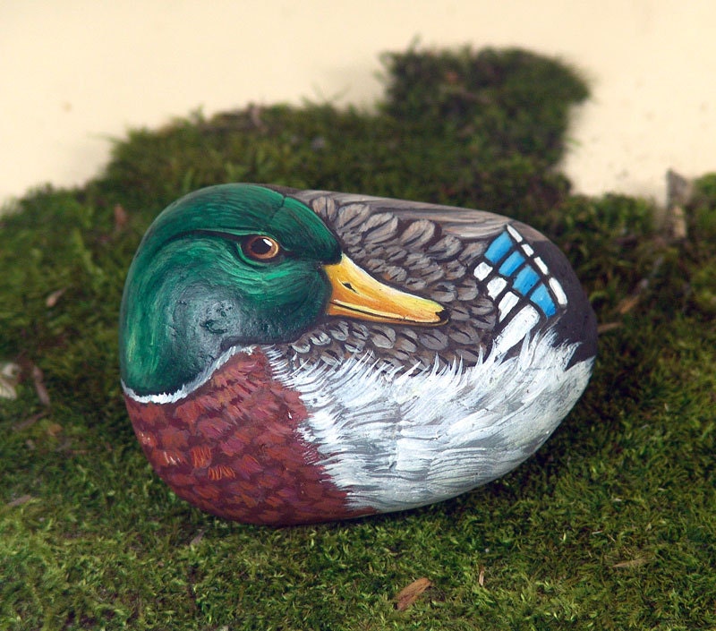 Mallard duck hand painted on rock