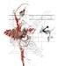 ballet and architectural detail drawing in red black and white