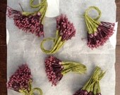 Vintage Millinery Stamens, flower pips, Choice of yellow or purple