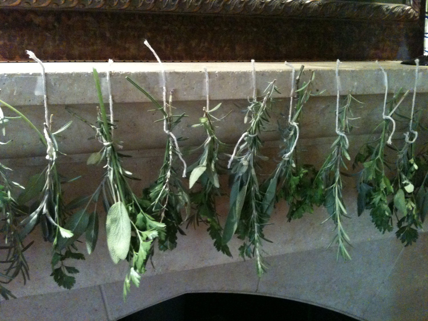 Set of 10 Organic Bouquet Garni: Herbs for Soups, Baked Fish or Chicken, Thanksgiving Turkey -Wedding Favors or Office Gifts-