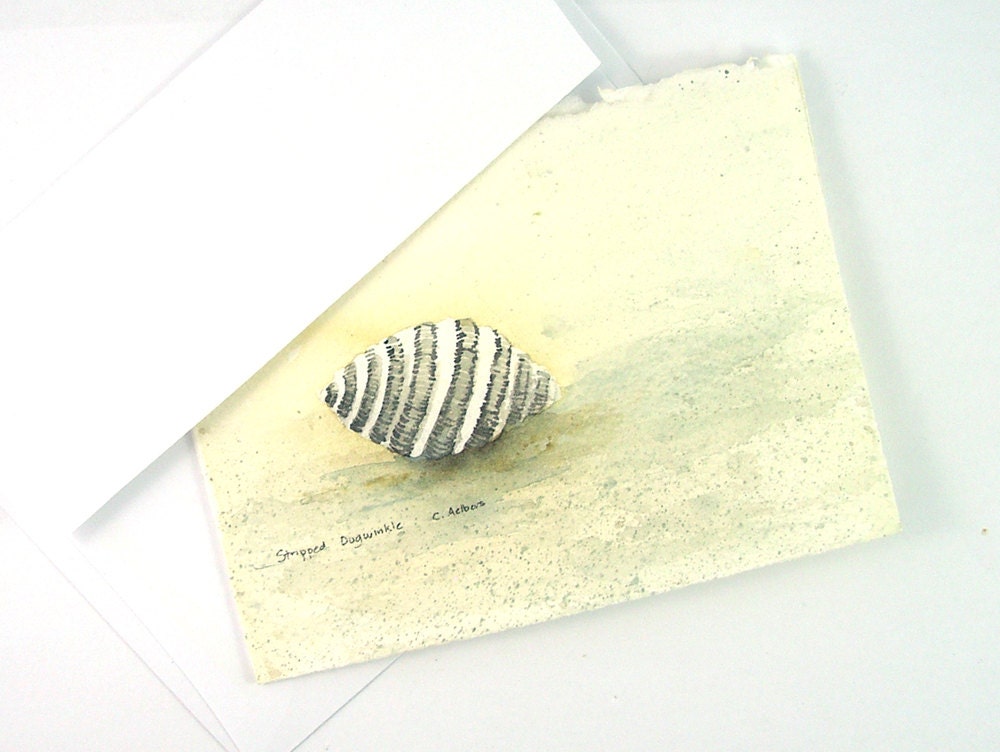 Sea Shells by the Seashore, Original Artwork, Beach Art