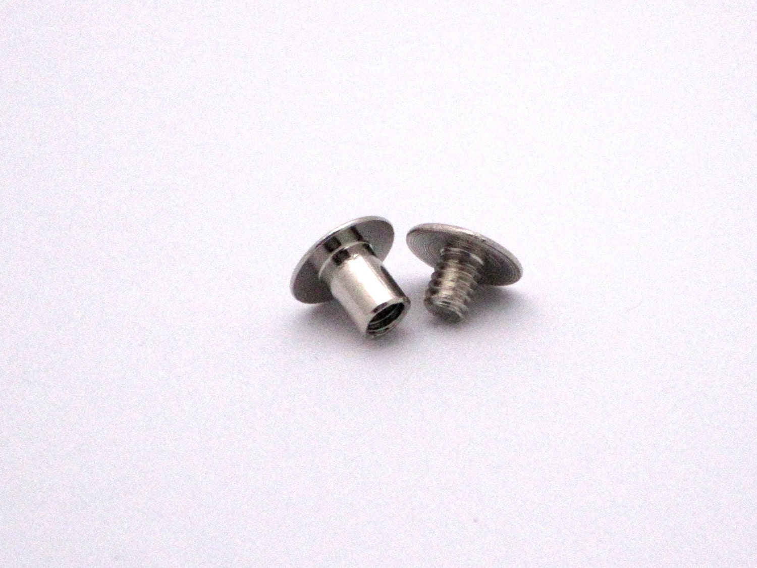 Replacement Chicago Screws (2)