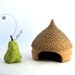 Growtime - Toad House - Ready to Ship