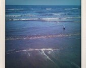 Waves of Blue - fine art beach photography - calm, peace, dreamy, ocean, bird, aqua, blue, sand, soft, peaceful, calm,