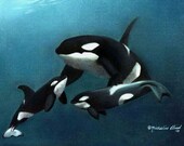 Orca whales painting art print by Michaeline McDonald 8x10 inches