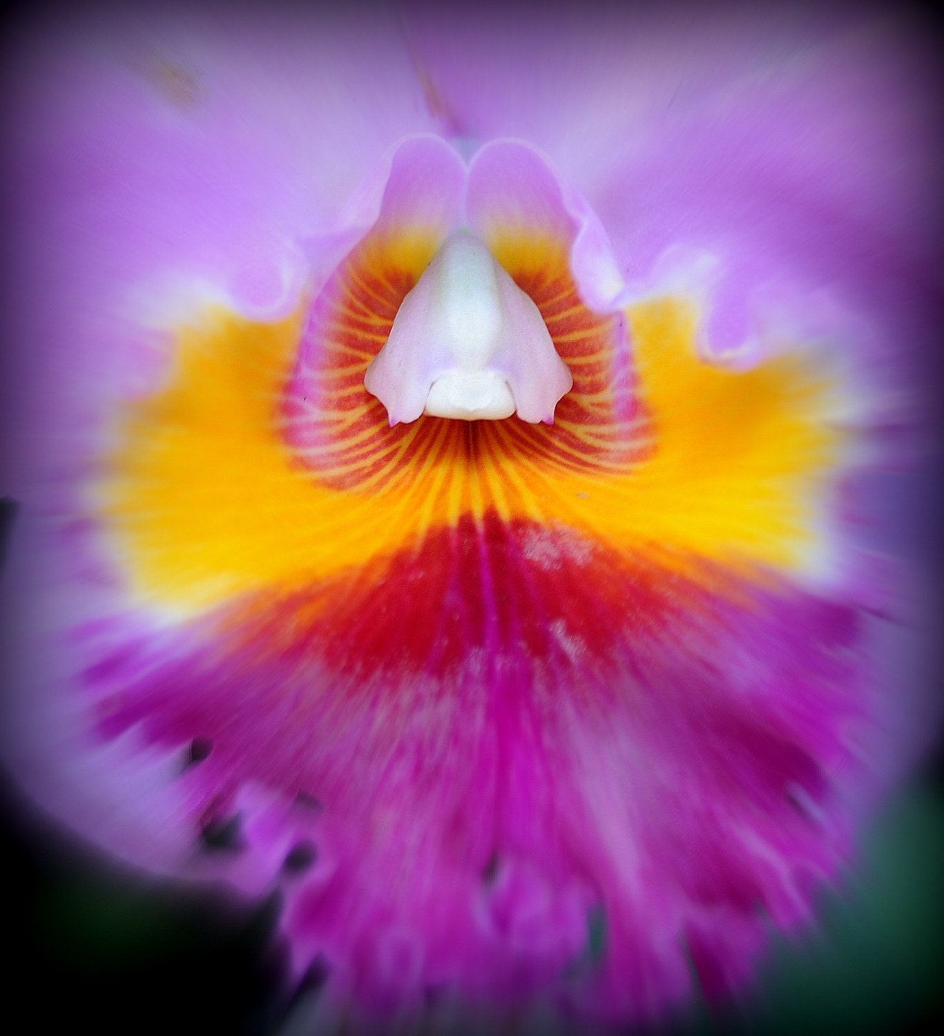 ACEO Macro photo of Orchid