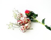 Organic Seeds 12 Seed Bomb Balls COSMOS Wedding Favors Gifts under 20  Gardening