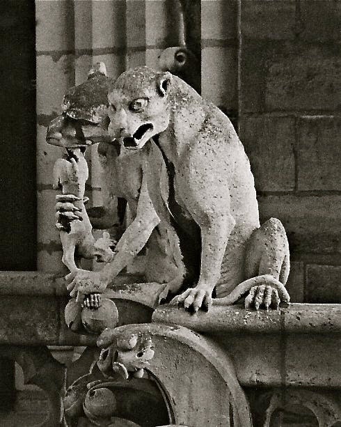 Gargoyle Cats of Paris on Notre Dame Cathedral - Classical Fine Art Photography 8x10 Black and White Photo Photographic Print