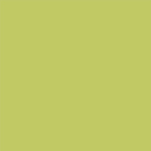 Birch MOD BASICS Solid Grass- Organic Cotton Fabric- Check Out These Shipping Rates
