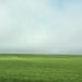 Landscape Minimal Modern Landscape 11x14  Spring Pasture