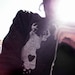 Deer Hoodie - Alternative Apparel Sweatshirt- Unisex - Heather Black - Bambi - Small, Medium, Large, Extra Large, 2X - Clothing