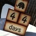 Wooden Baby Blocks Age Blocks for Photos - Custom Colors