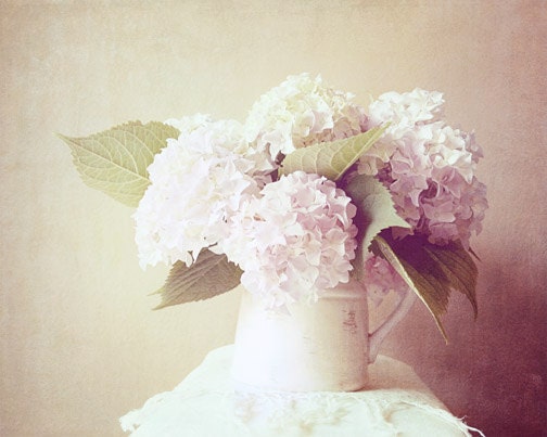 Romantic Flower Photograph - dreamy pink soft cream white pastel vase bedroom decor hydrangeas 8x10 mothers day for her - FirstLightPhoto