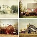 Set of Four Barn Photographs - country barns red barn white barn coordinated photo collection print set home decor 8x10