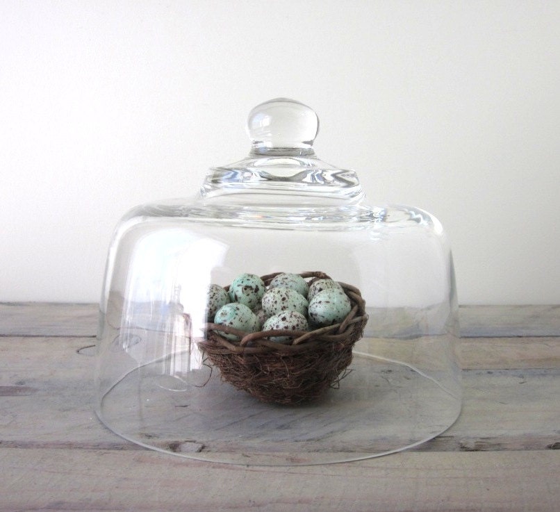 Vintage Glass Cloche Bell Jar Dome