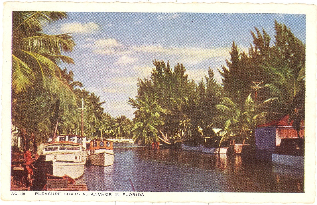 Vintage Florida Postcard - Pleasure Boats at Anchor on Quiet River
