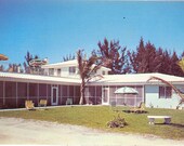 Vintage Florida Postcard - St Petersburg - Treasure Island - Sea Ranch Apartments Motel