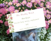 Buckeyes  pagan, hoodoo good luck charm, Buckeyes, Horse Chestnuts are considered lucky talismans