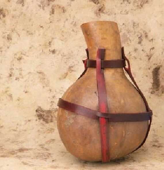 Gourd Corsican Canteen Gourd Seeds Make Your by thegardenstudio