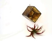 Stained glass air plant vase wall terririum, brown amber wispy, modern cube hanging planter