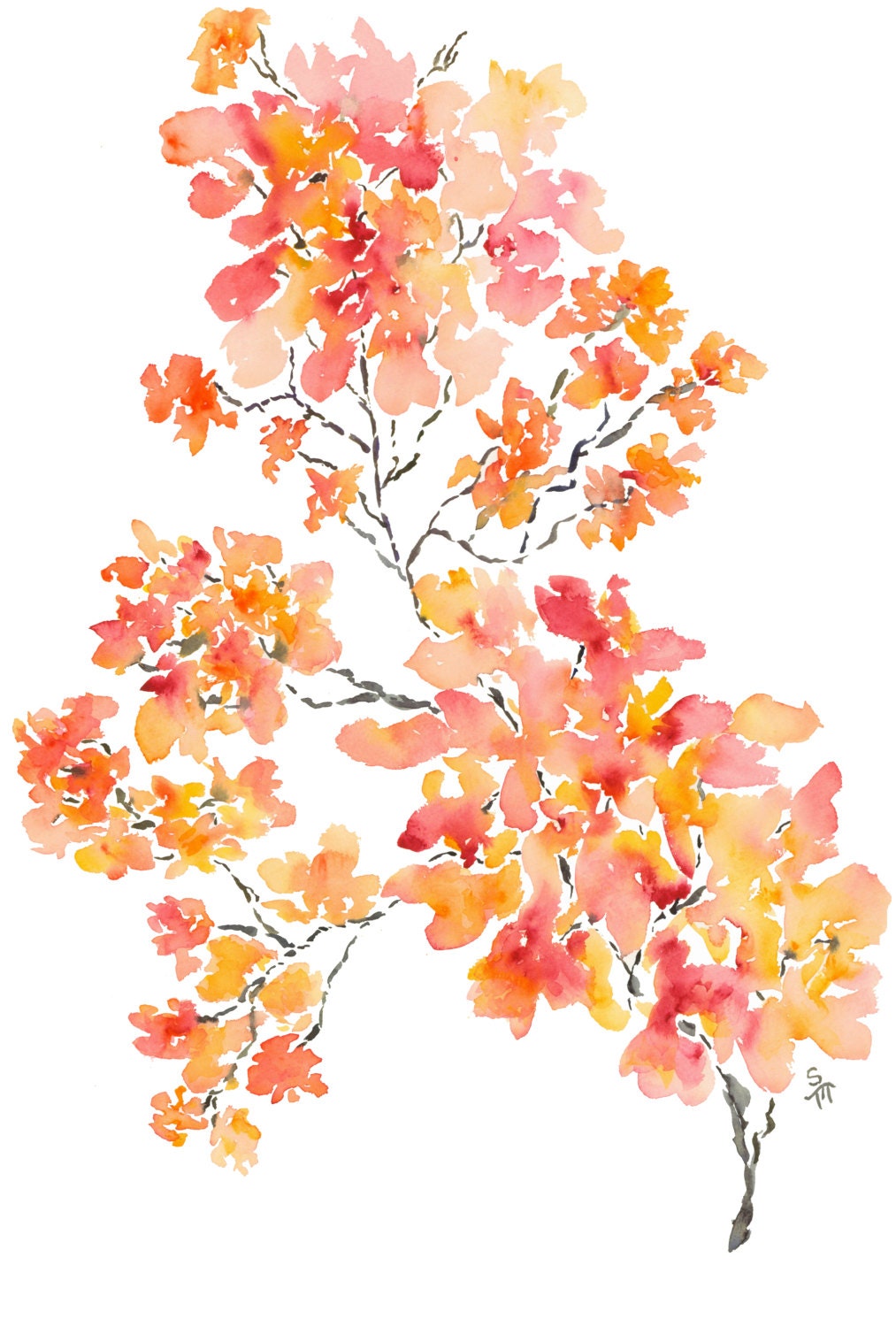 Shower Tree Petals No. 4, Watercolor Fine Art Print, Large 10x14, Watercolor Flowers