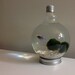 Large Lightbulb Fishbowl Kit