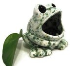 Sponge Holder - Ceramic Frog - Emerald Green