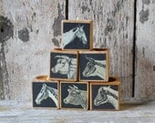 Animal Insides - 1 Reclaimed Wood Candle Block with decoupage