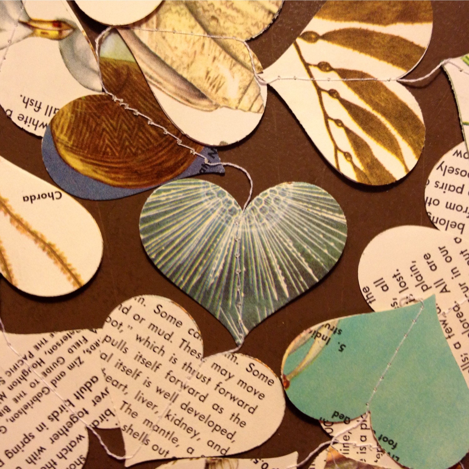 Seashores- Heart Garland- Vintage Field Guide Pages- Ready to Ship