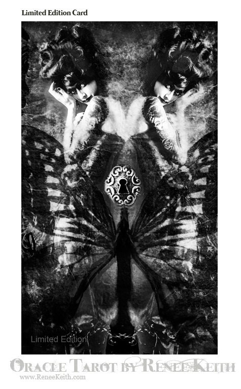 Limited Edition Oracle Card - Butterfly